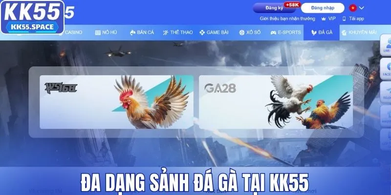 Đá gà KK55 đa dạng sảnh chơi